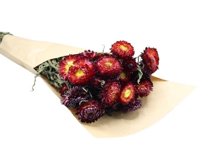 Helichrysum natur-rot 85gr. Helichrysum natur-rot 85gr.