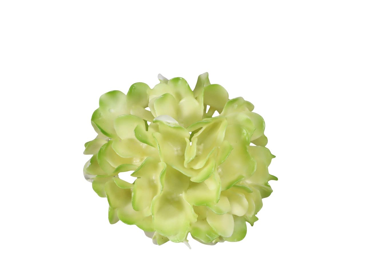 Hortensieblüte Wachs creme-grün D14cm