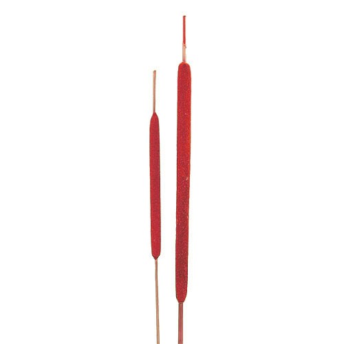 Schilfkolben D0,8-1,3H20-25cmL50cm rot