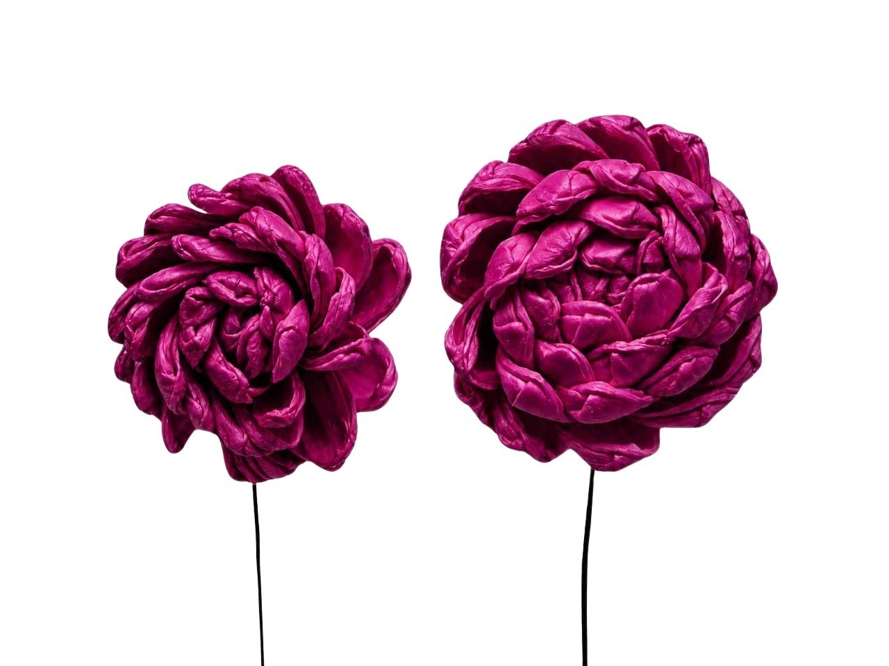 Dahlie Sola am Draht D6+8cm je 18 Stück sortiert brombeer