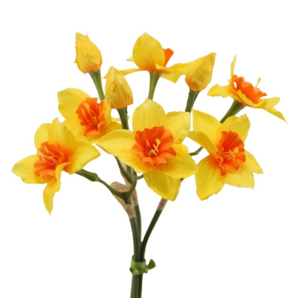 Narzissenbund x 3,  30 cm gelb-orange