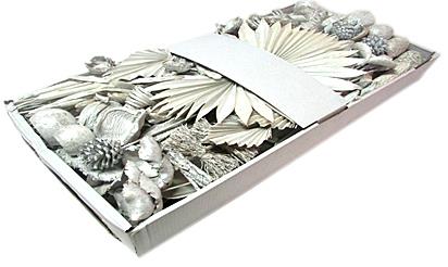 Exotensortiment Indisch pearl washed white großer Karton