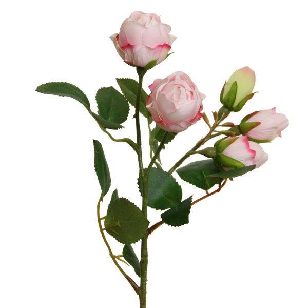 Rose x 5,  39 cm rosa