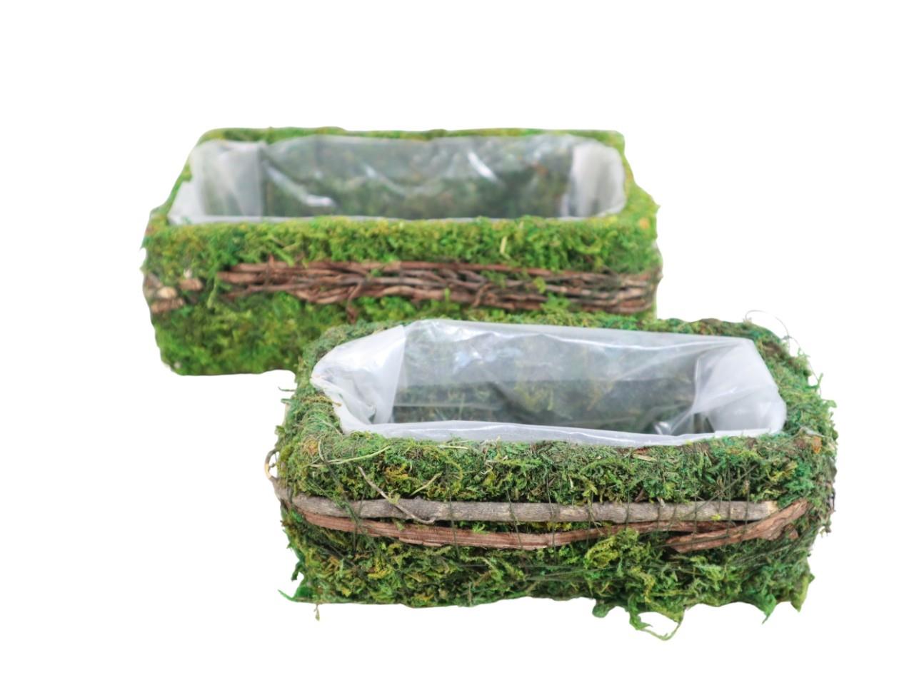 Pflanzkasten Set/2 Moos grün L21+16 B15+11 H12+10cm Pflanzkasten Set/2 Moos grün L21+16 B15+11 H12+10cm
