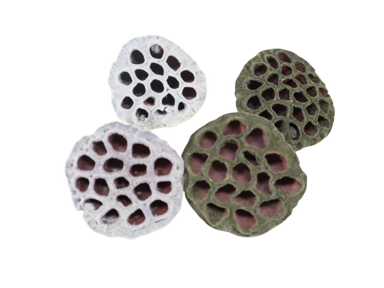 Lotos 8-10cm beflockt sortiert olivgrün / weiß