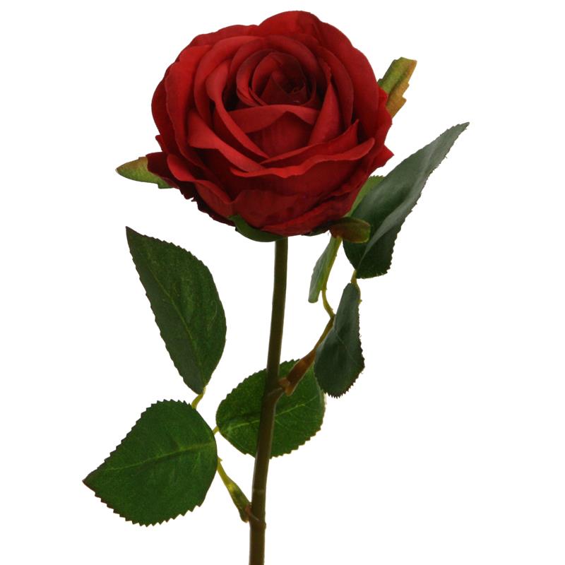 Rosenpick halboffen rot L46cm