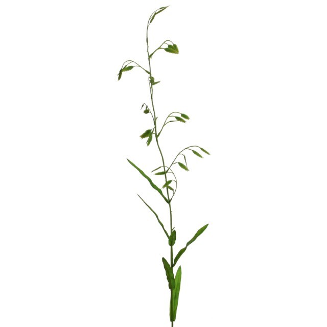 Gras m. Ähren 94 Ähren grün