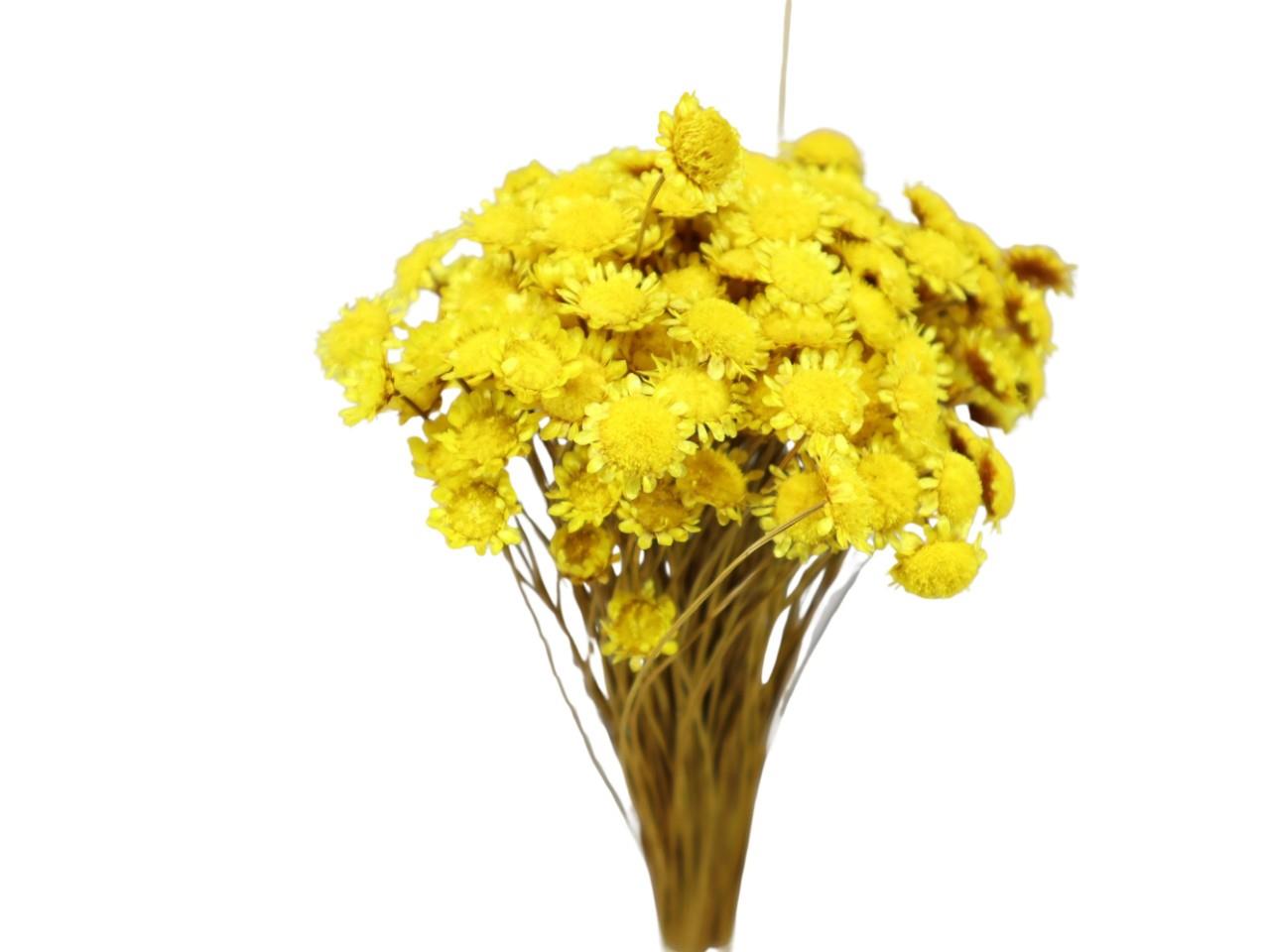 Glixia Marqueritte 50gr. gelb