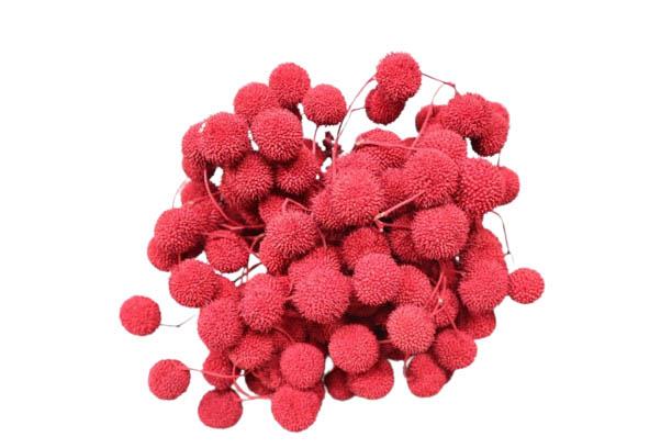 Plane ball 250gr. 1 Bündel rot