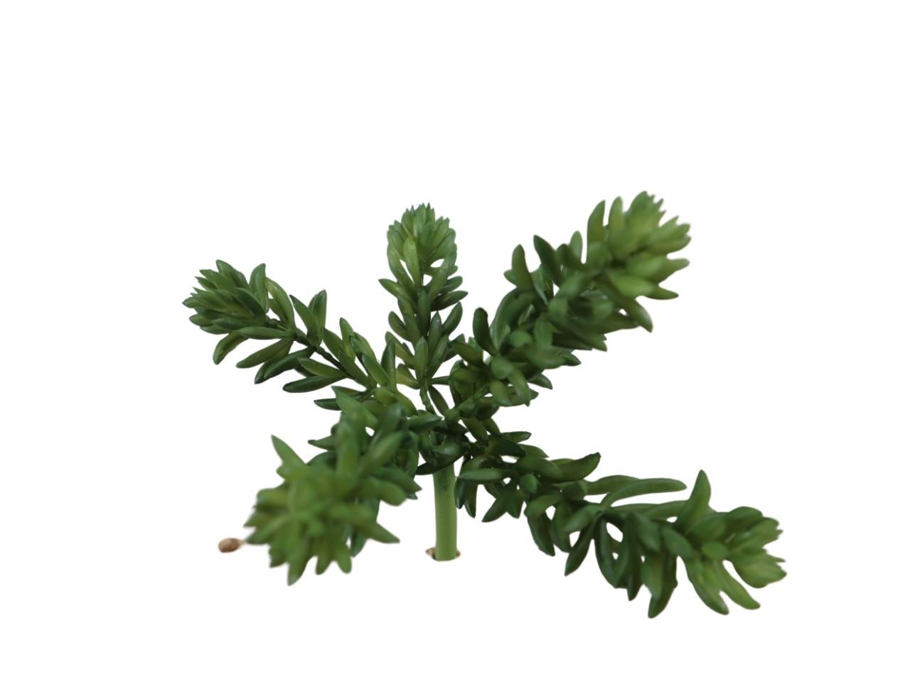 Sukkulente 6fach grün H15cm