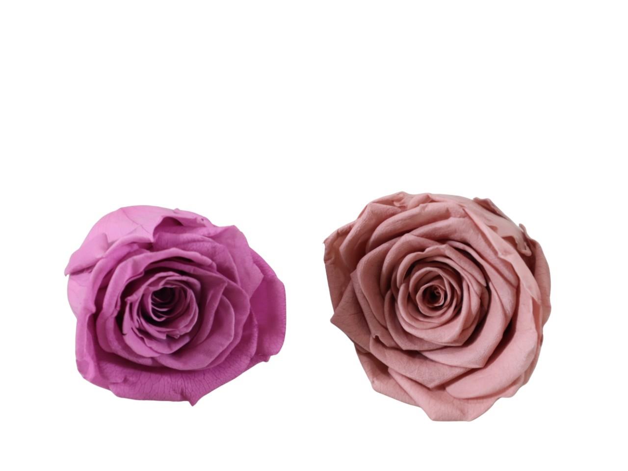 Rosenkopf konserviert H 5,5 cm D 6 cm altrosa/flieder NETTO