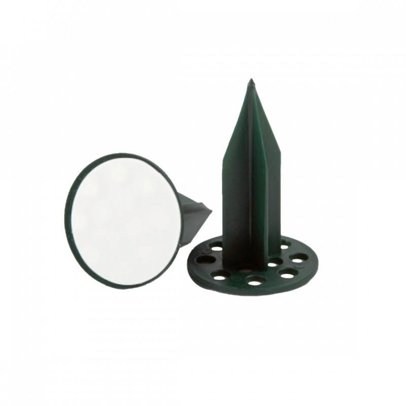 OASIS Pini Super Extra KL grün Ø5 x 7,5cm NETTO OASIS Pini Super Extra KL grün Ø5 x 7,5cm NETTO