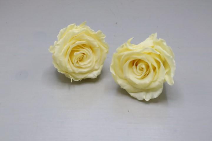 Rose stabilisiert cherry Blossom (vanille) NETTO