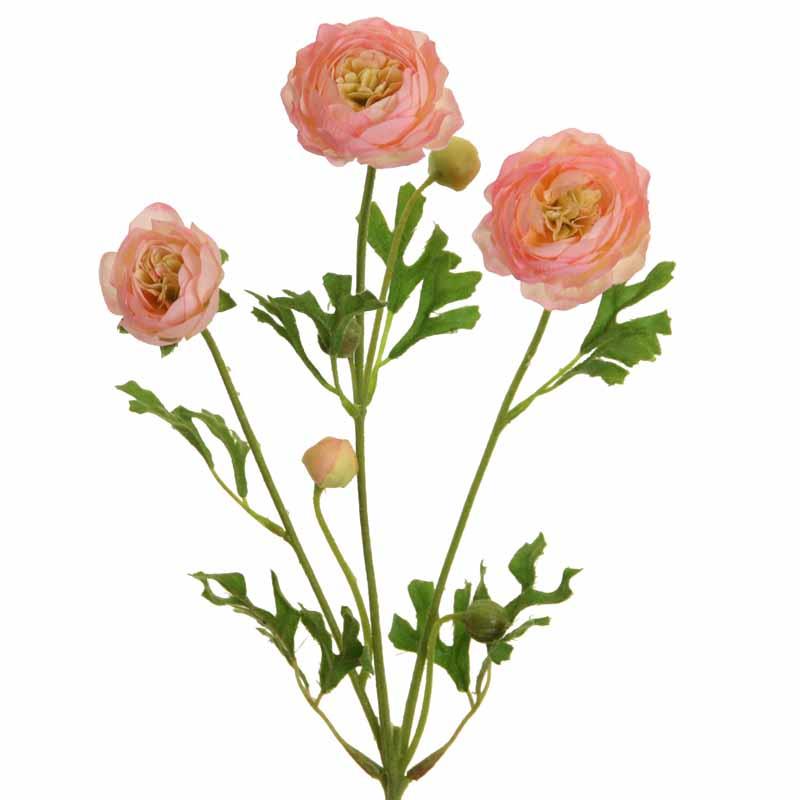 Ranunkel 3 Blüten+4 Knospen H66cm rosa