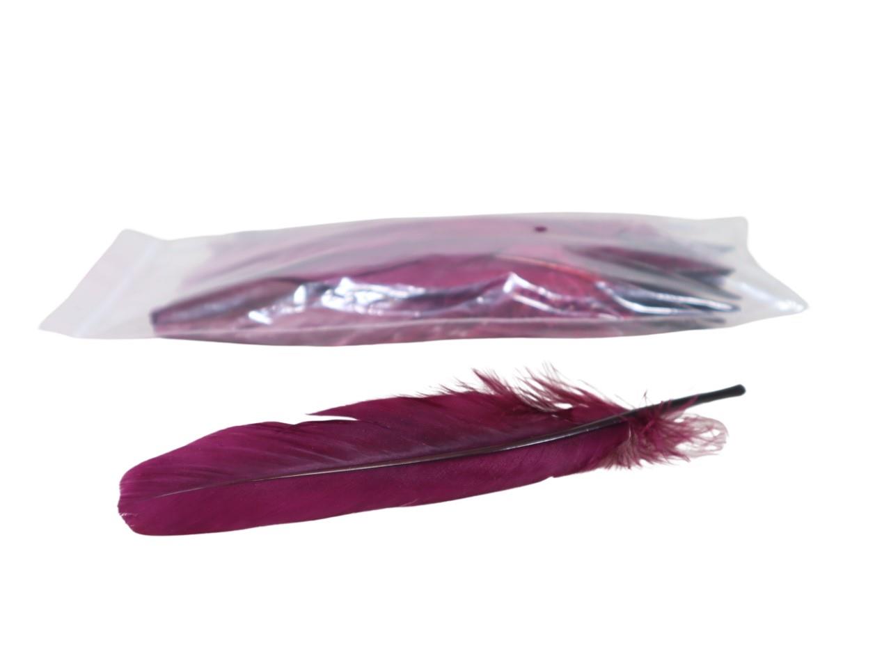 Federn dunkelpink 20g/Btl. ca. 40 Stück Länge ca. 20cm Federn dunkelpink 20g/Btl. ca. 40 Stück Länge ca. 20cm