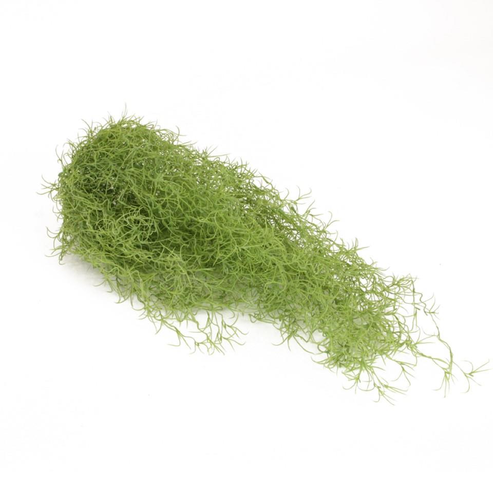 Tillandsienpflanze hängend grau-grün L75cm Tillandsienpflanze hängend grau-grün L75cm