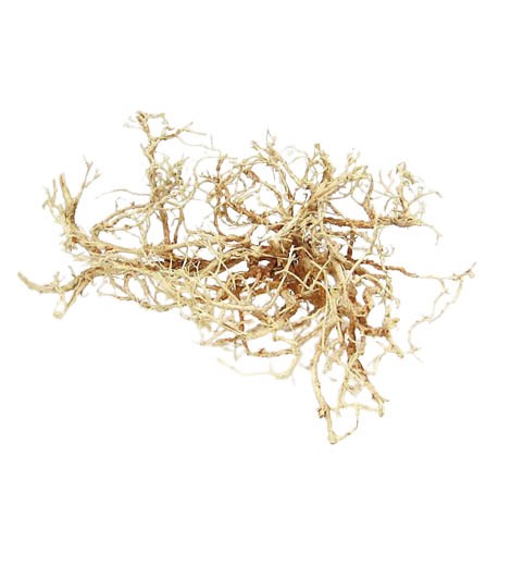 Dry Bush H8-10D9-11cm 1kg gebleicht
