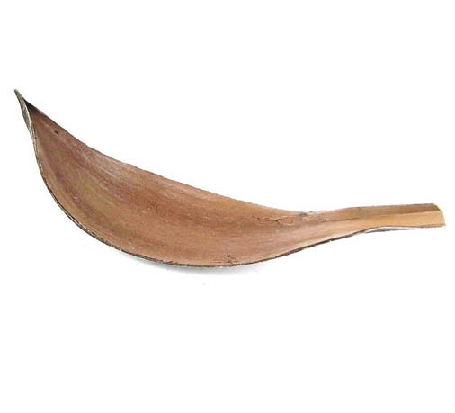 Cocosschalen L25-35B9-10cm natur