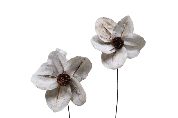 Blüte Jacaranda D10cm gestielt white washed
