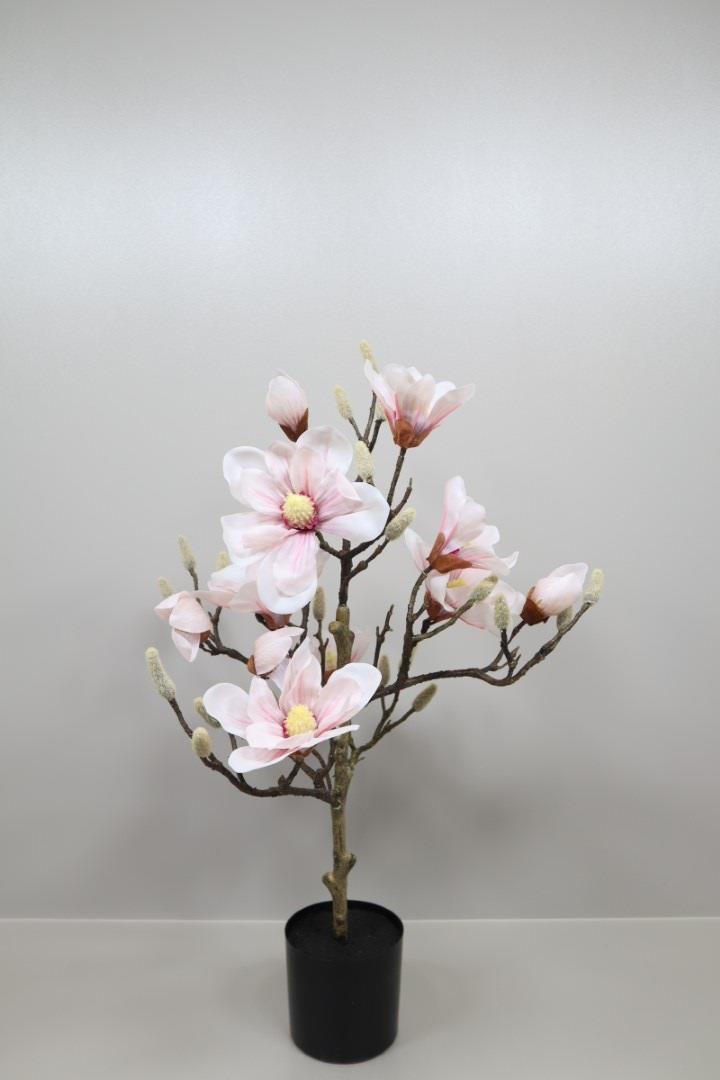 Magnolienbaum rosa 45x35x70cm