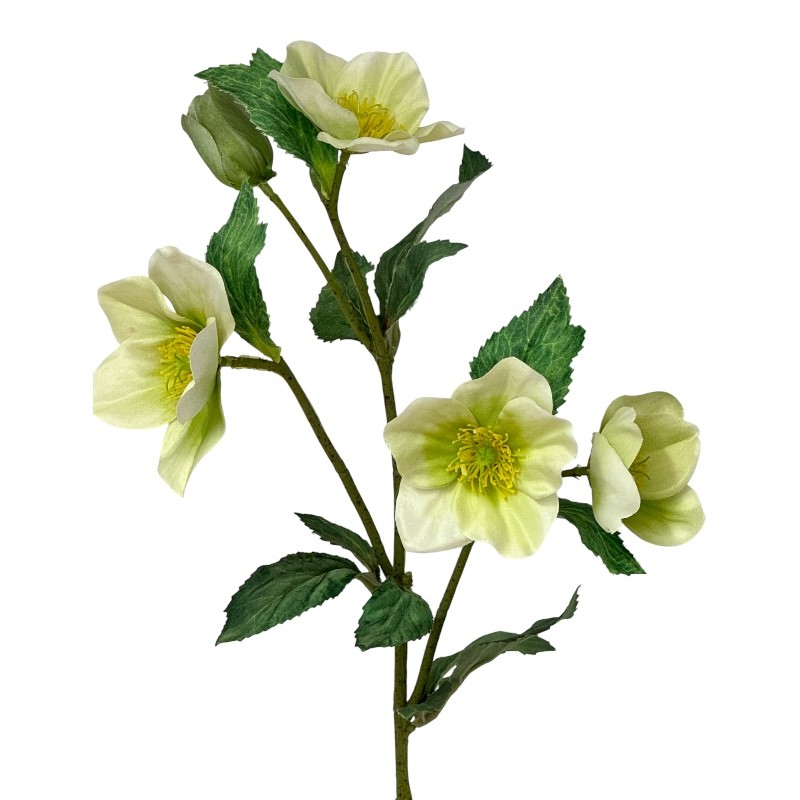 Christrosezweig 4Blüten+1Knospe creme L50 cm