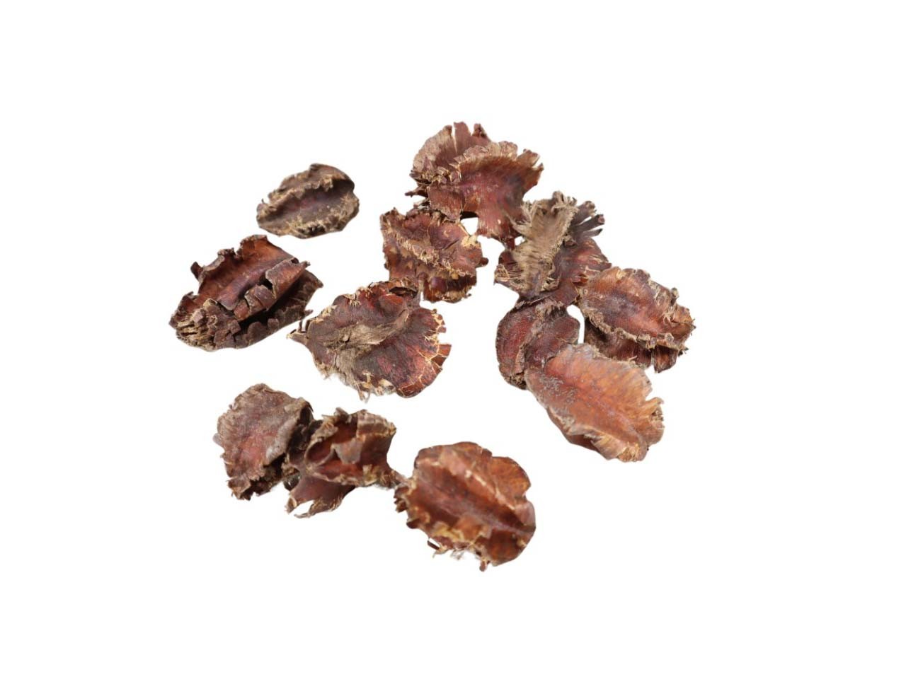 Arjuna Frucht natur 1kg