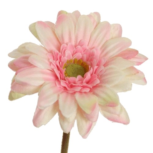 Gerbera Mini D7cm H47cm rosa