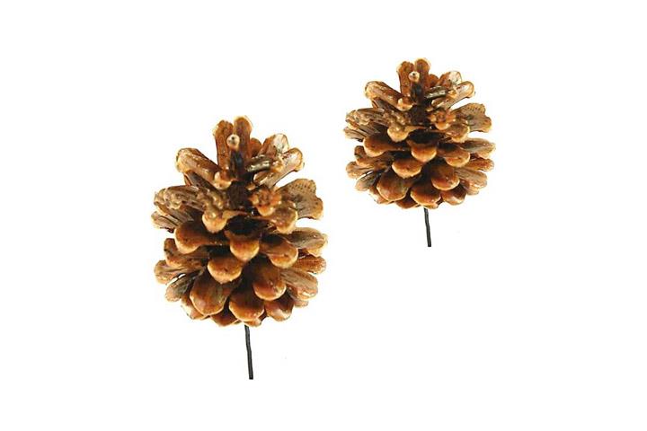 Zapfen Schwarzkiefer gewachst gedrahtet 20-22cm Drahtstiel Zapfen Schwarzkiefer gewachst gedrahtet 20-22cm Drahtstiel