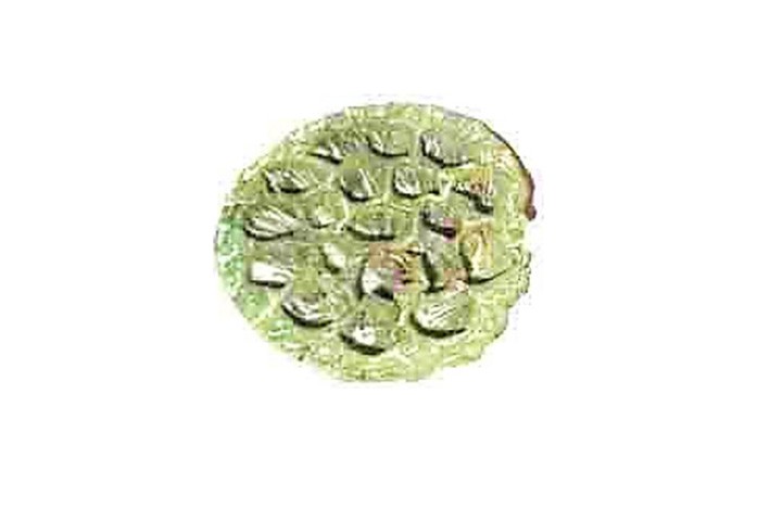 Lotos D6-8cm kiwi-grün frosted
