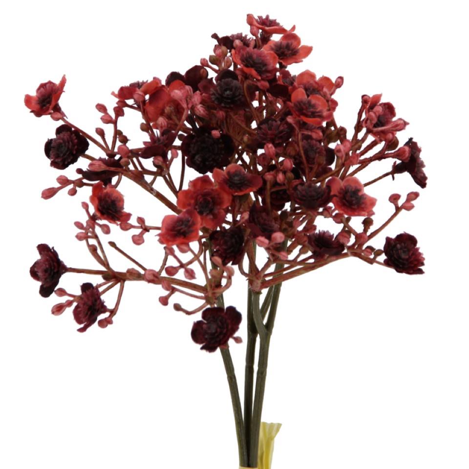 Gypso/Schleierkraut Bündchen 3 Stiele burgund H30cm Gypso/Schleierkraut Bündchen 3 Stiele burgund H30cm