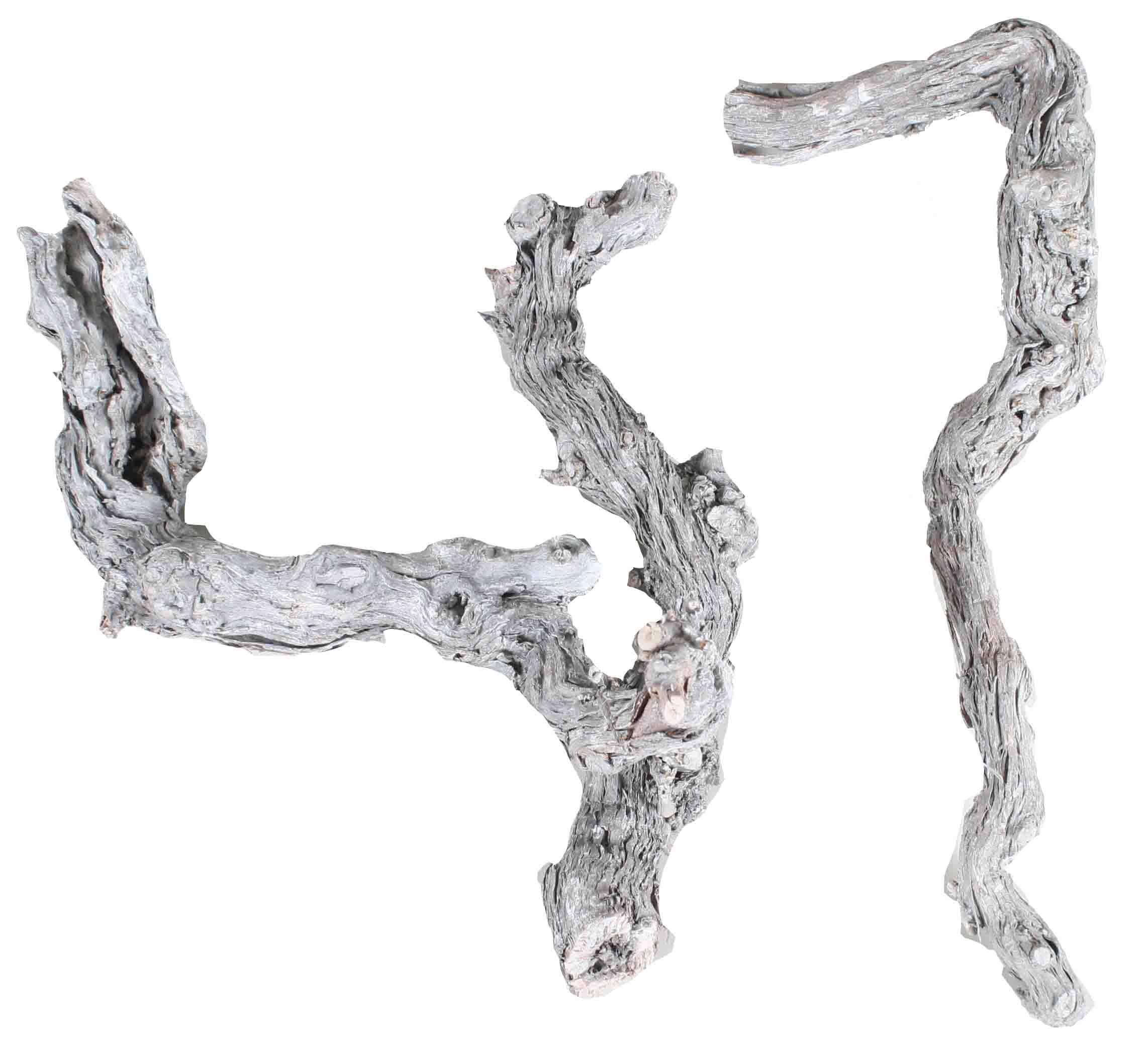 Weinrebenwurzel 20-35cm white washed