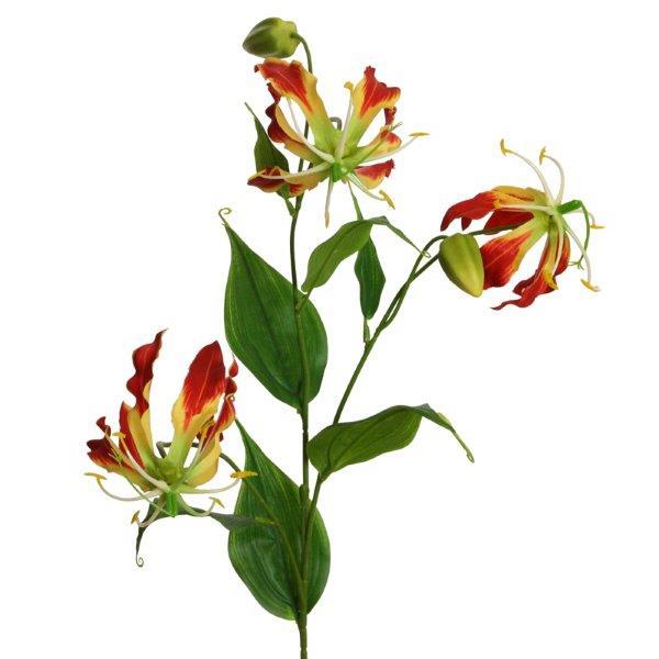 Lilie Gloriosa Zweig 3 Blüten+ 2 Knospen H84cm rot-gelb Lilie Gloriosa Zweig 3 Blüten+ 2 Knospen H84cm rot-gelb