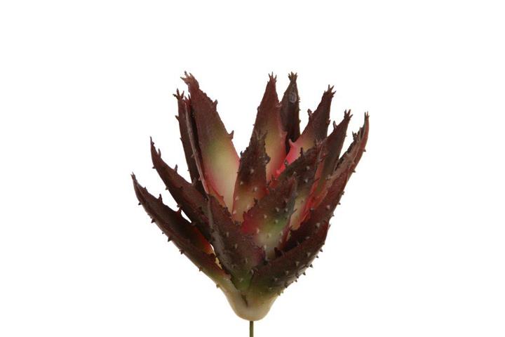 Agave Pick 17cm burgund-braun Agave Pick 17cm burgund-braun