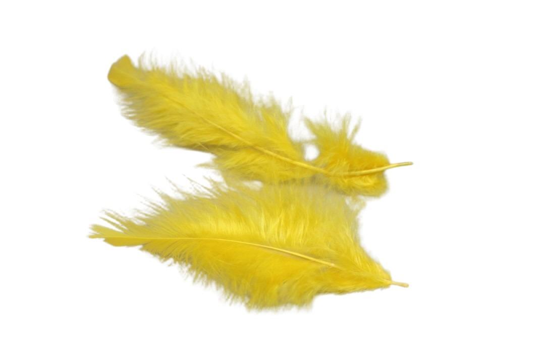 Federn 20 gr. goldgelb Federn 20 gr. goldgelb