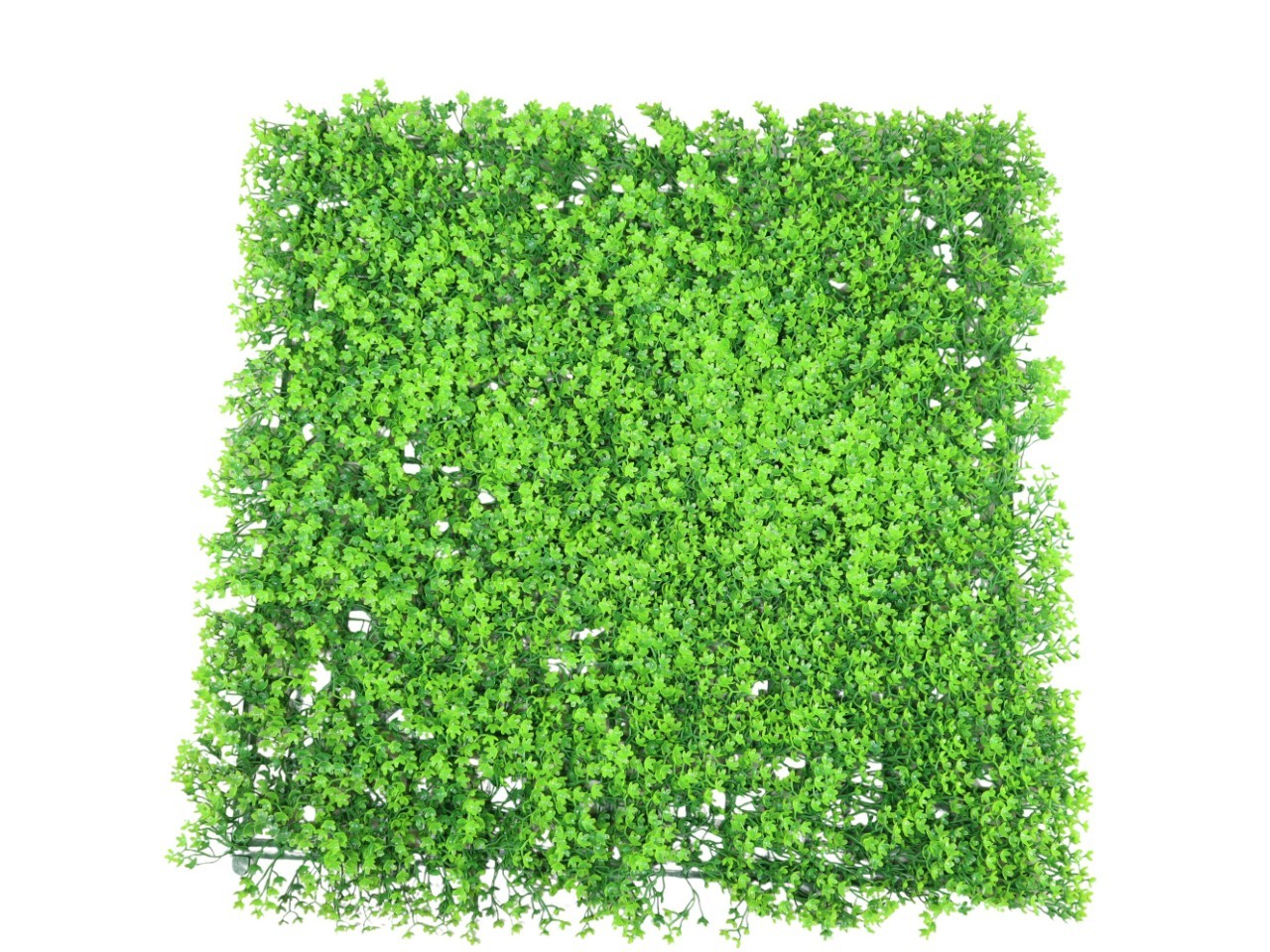 Pflanzenwand m. Pfennigkraut Kunststoff grün 50x50cm