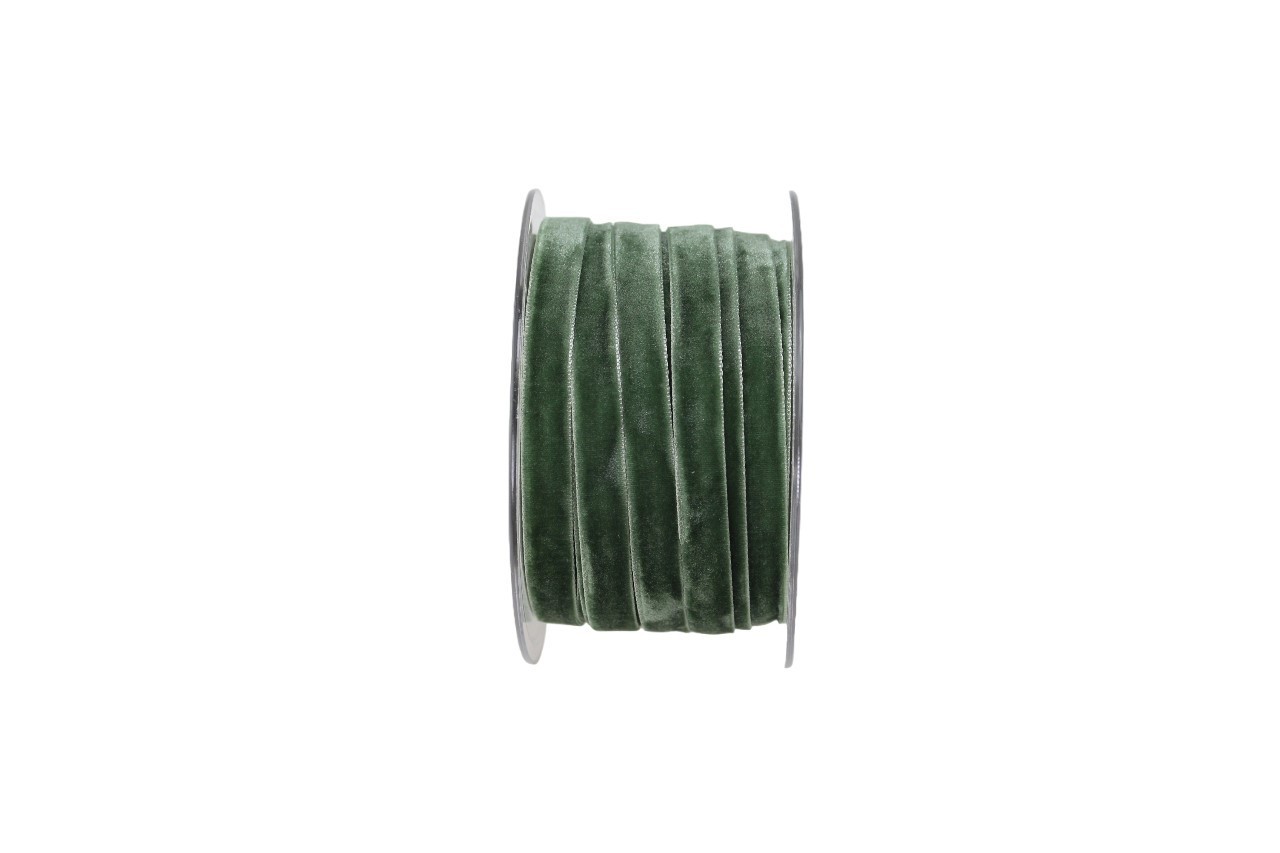Band Velvet 10 mm 20 Meter eukalyptus 505