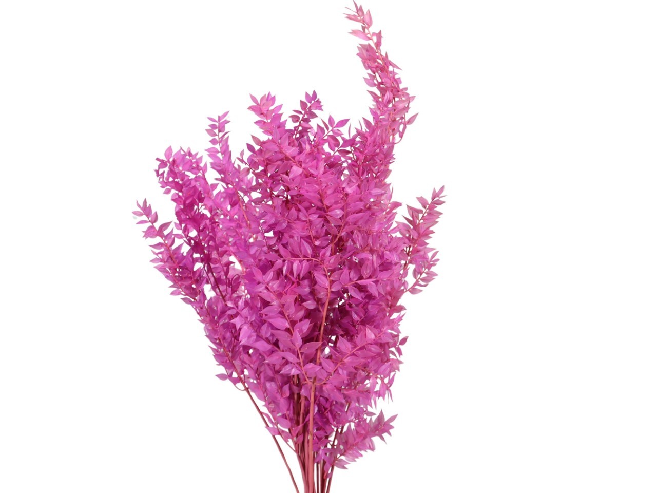 Ruskus 400gr. amethyst 118/P