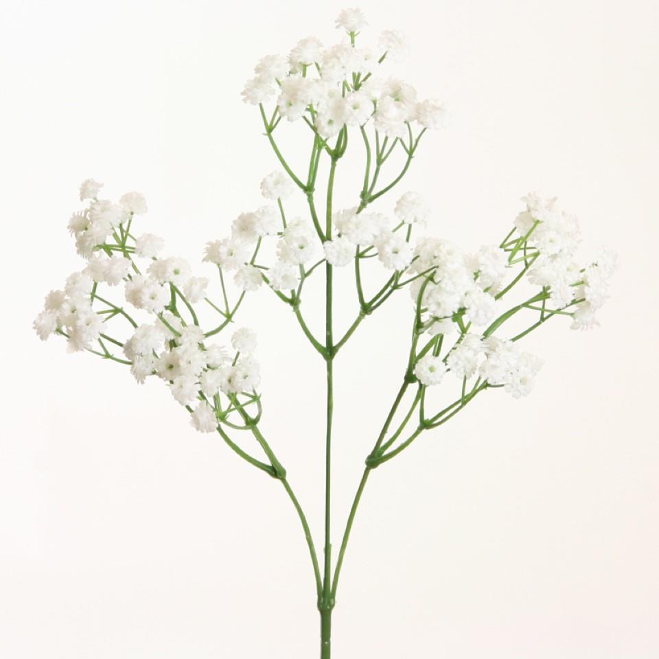 Gypsophilia/Schleierkraut Soft Touch weiss H62cm