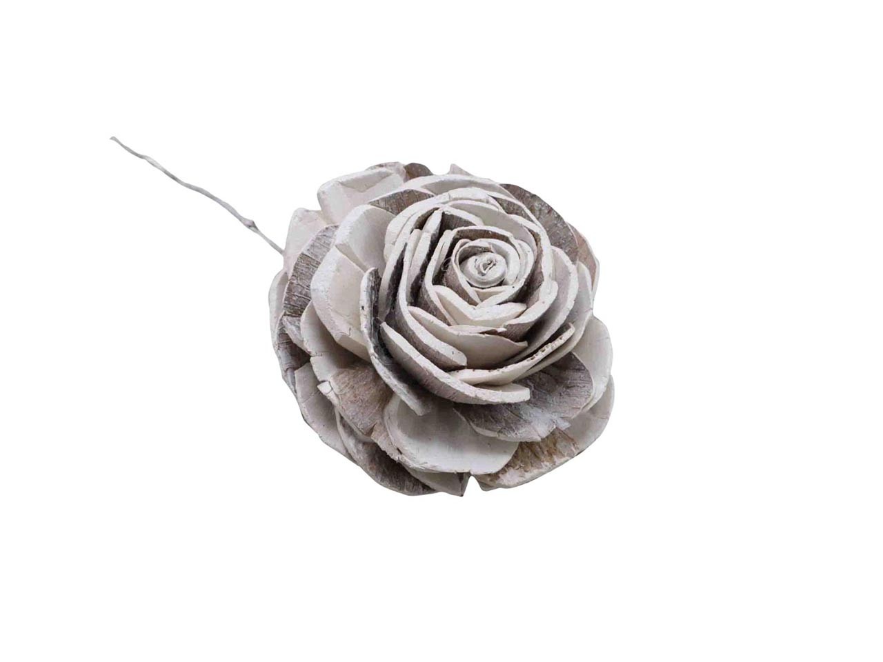 Rose Sola am Draht D6cm white washed