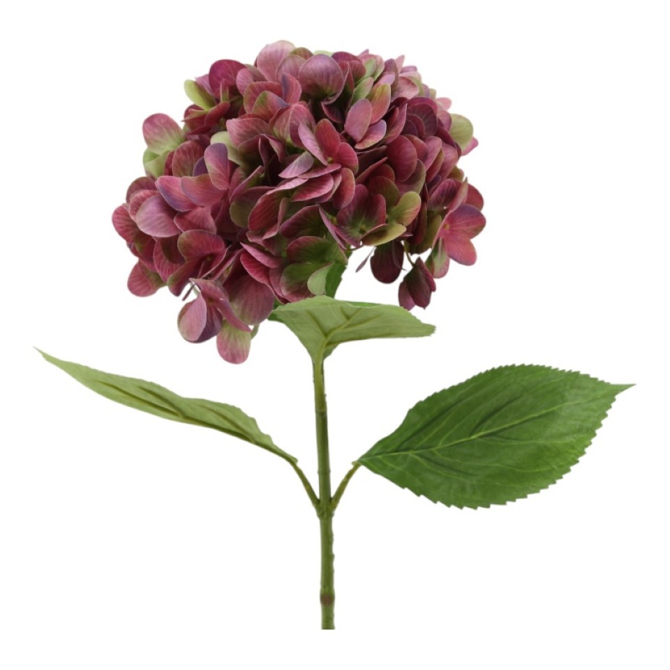 Hortensie 70cm burgund
