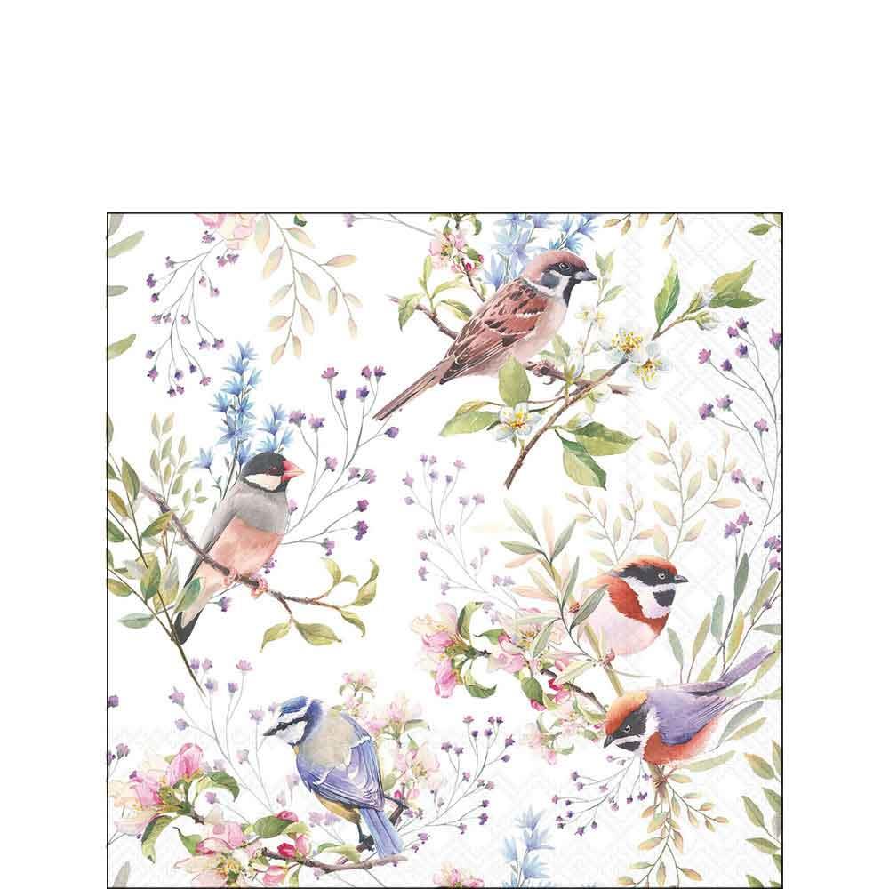 Serviette 25x25 cm Busy Birds
